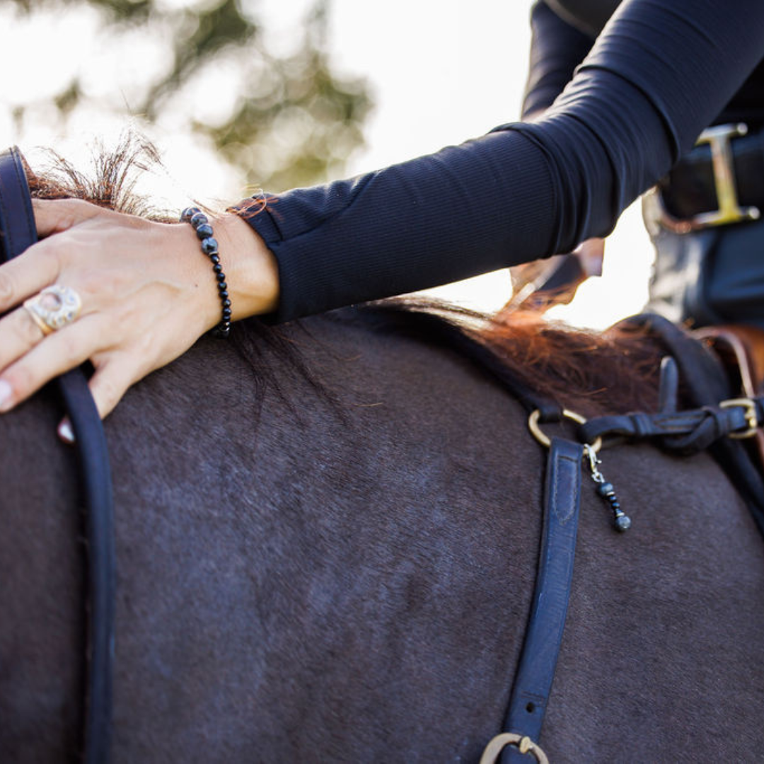 Equine Evolution Set