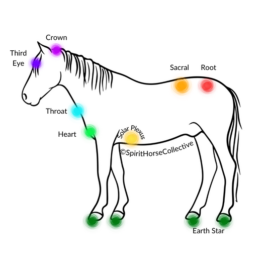 Equine Energetic Body Scan